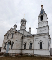 Храм святителя Василия Великого с. Пушкарное